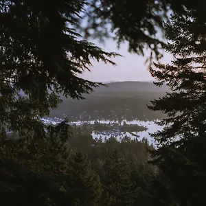 https://hideaway-in-the-trees.vancouver-hotels-bc.net